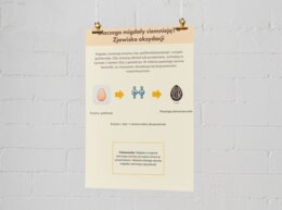 Dlaczego migdały ciemnieją? Infografika. Proces oksydacji. Chemiczny proces brązowienia. Jak temu zapobiegać?