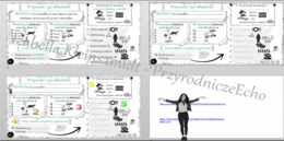 Kompletny zestaw na jedną lekcję „Przyroda i jej składniki” – sketchnotka + karty pracy w power point + gratisowy link do prezentacji multimedialnej niekomercyjnej + gratisowy link do lekcji multimedialnej niekomercyjnej również wykonanej w genial.ly do 