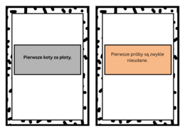 Fiszki, przysłowia, zestaw, 10 przysłów, pdf