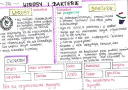 Wirusy i bakterie (sketchnotka)