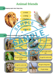 Stars and Heroes 3 - unit 2 - Animal Friends - Karty Pracy