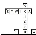 Krzyżówka- rośliny nagonasienne