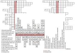 Logogryf dla klasy 7 na podsumowanie lekcji o budowie serca