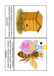 Światowy Dzień Pszczół