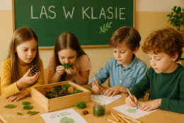 Pudełko sensoryczne „Las w klasie”
