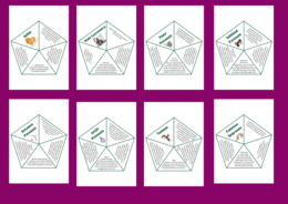 "OPOWIEŚCI Z NARNII. LEW, CZAROWNICA I STARA SZAFA" – bohaterowie – układanka – fiszki – powtórka – egzamin – 8 szt.