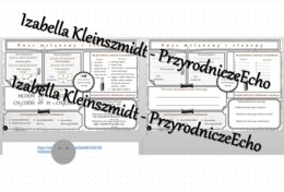 Minizestaw na temat „Kwas metanowy i etanowy” – sketchnotka + karta pracy w power point + gratisowy link do prezentacji multimedialnej niekomercyjnej wykonanej w genial.ly do indywidualnego pobrania i użycia do celów niekomercyjnych. Chemia 8, „Pochodne 