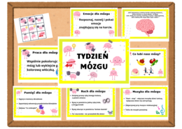 Tydzień Mózgu - materiały dla przedszkolaków, klas 1-3, materiały na gazetkę, na zajęcia