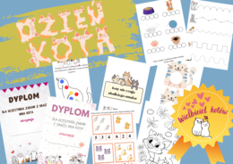 PAKIET DZIEŃ KOTA