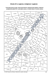 SZ w wyrazach - nagłos, śródgłos, wygłos / karta pracy + klucz odpowiedzi