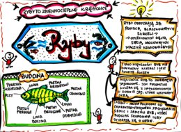 Klasa 6. Biologia. Ryby (karta pracy kolorowa)