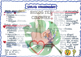 PRZYRODA - Ciało człowieka - Układ krwionośny - kolor