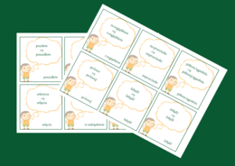 BŁĘDY JĘZYKOWE - fiszki - 30 szt. - 2 wersje + odpowiedzi - Dzień Języka Ojczystego