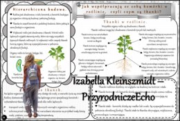 Zestaw sketchnotek/notatek/streszczeń/wklejek/ściąg dla ucznia i nauczyciela w pdf. Biologia 5 dział „Tkanki i organy roślinne”. Notatki zostały wykonane na podstawie podręcznika z wydawnictwa WSiP.