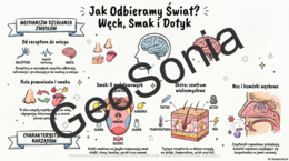 Zmysł powonienia, smaku i dotyku biologia klasa 7