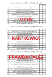 MCHY - KARTKÓWKA W FORMIE PRAWDA/FAŁSZ