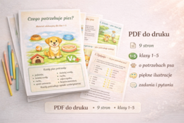 Czego potrzebuje pies?