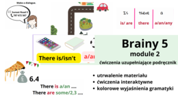 Brainy 5, unit 2, materiały dodatkowe, there is, there are