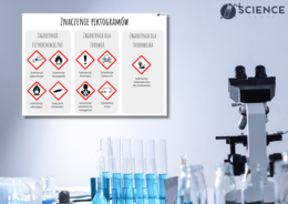 Znaczenie piktogramów - plakat