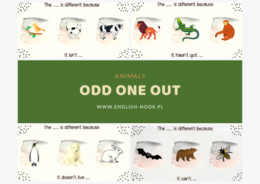 Odd one out - ANIMALS