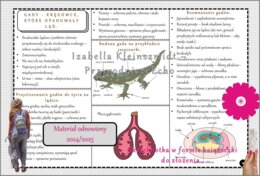 Sketchnotka/książeczka/notatka/wklejka/ściąga dla ucznia i przypomnienie dla nauczyciela/edukacja domowa. Temat „Gady-kręgowce, które opanowały ląd”. Materiał w pdf. Biologia 6, dział „Kręgowce zmiennocieplne”. Nowość 2024/2025.