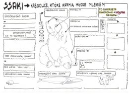 Ssaki - budowa ciała - klasa 6- KP