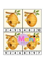 Światowy Dzień Pszczół