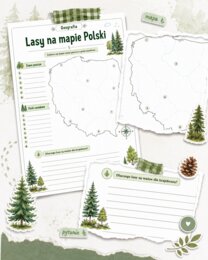 Lasy na mapie Polski