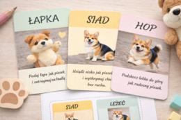 Psie komendy – zabawa ruchowa z kartami