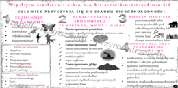 Sketchnotka „Wpływ człowieka na różnorodność biologiczną”. Biologia klasa 8, dział IV „Człowiek i środowisko” Materiał cyfrowy