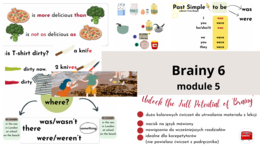 Brainy 6, unit 5, materiały dodatkowe uzupełniające podręcznik, was/were, there was/there were