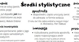Środki stylistyczne w pigułce