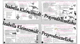 Zestaw sketchnotek – notatek do całego działu „Obszary okołobiegunowe” wykonanych w power point do edycji. Geografia 8