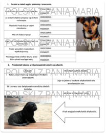 WYPOWIEDZENIA - karty pracy