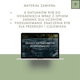 Przegląd i znaczenie ryb - gra zgadnij kto to