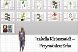 Zestaw notatek okienkowych. Stacje zadaniowe/notatki/notatki graficzne/karty pracy/sketchnotki/projekt/lekcje w terenie do działu „Tkanki i organy roślinne” w pdf. Biologia 5.
