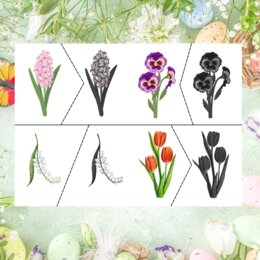 Wiosenne kwiaty – dopasuj kwiat do jego cienia