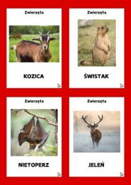 POLSKA - 11 LISTOPADA