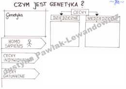 Czym jest genetyka? (karta pracy)