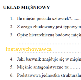 Układ mięśniowy