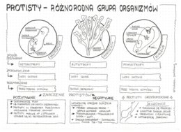 Klasa 5 - Różnorodność protistów - pakiet