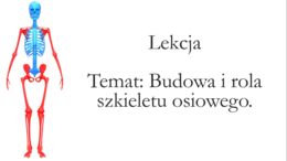 Klasa 7 - Budowa szkieletu osiowego - prezentacja