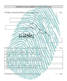 Formy wypukłe i wklęsłe krajobrazu - kartkówka / PRZYRODA klasa 4