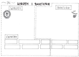 Wirusy i bakterie (karta pracy)