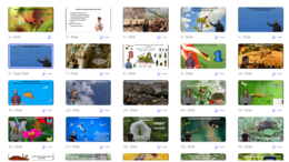 Prezentacja multimedialna w genial.ly „ Owady - stawonogi zdolne do lotu” – do edycji i pobrania – biologia klasa VI, dział III – temat 3