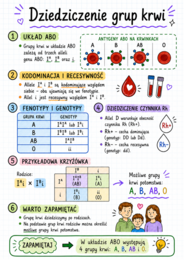 Notatki, które uczą – Biologia, klasa 8