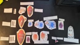 Materiał do zalaminowania/praca w grupach/puzzle/układanka. "Linie obrony - jak zdobywamy odporność?" „Budowa i funkcjonowanie układu odpornościowego” w pdf. Biologia 7, dział „Układ krążenia”.