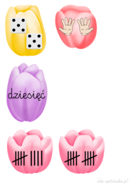 Matematyczne tulipany