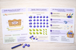 Zrób własny koszyk jagód [Wycinanka]