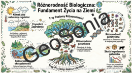 Bioróżnorodność biologiczna - sketchnotka